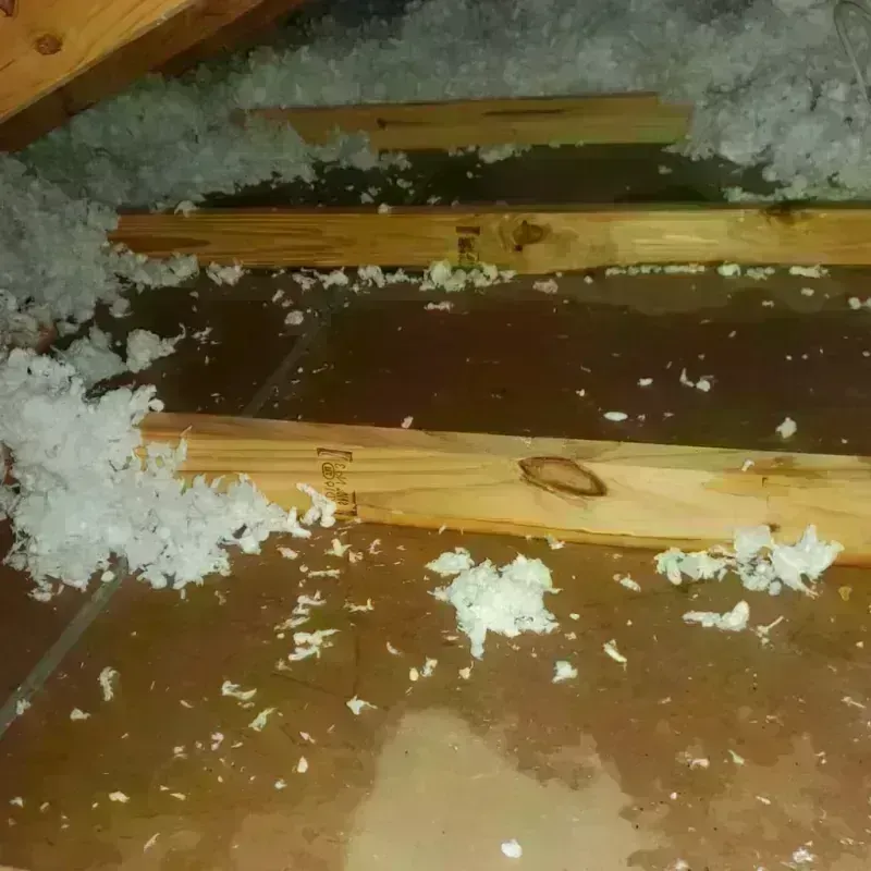 Attic Water Damage in Wurtland, KY